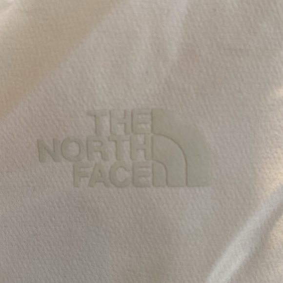 LAST ONE:  North Face Women’s Shelbe Raschel Parka - Picture 3 of 15